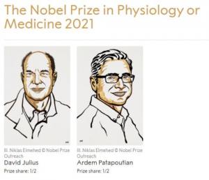 2021诺贝尔生理学或医学奖揭晓两名科学家获奖并获得了邵氏生命科学和医学