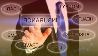 云、AI、无人机……新技术赋能大熊猫等野生动物保护