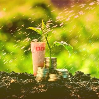 ST香梨连收3个涨停板